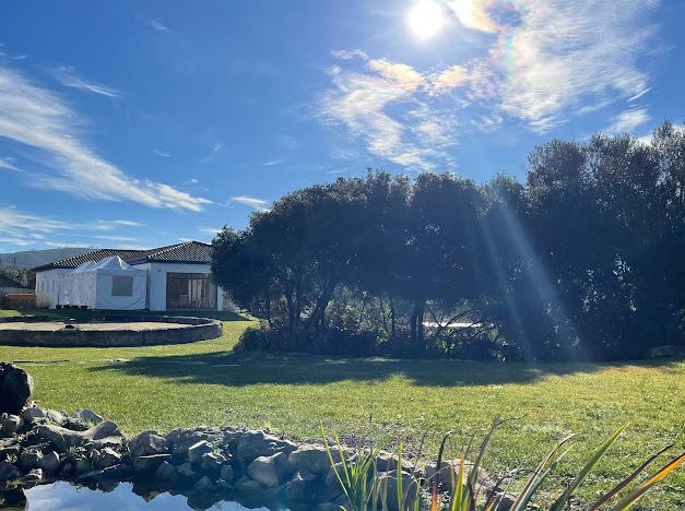 Retiro Conexão e Salto Quântico - Mirada Sistémica