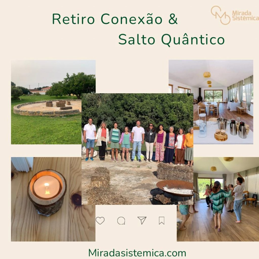 Retiro Conexão e Salto Quântico - Terra e Raiz- Mirada Sistémica
