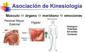 Asociación de Kinesiología - Mirada Sistémica