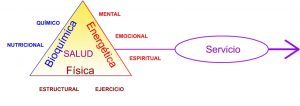 Triángulo de la salud y el servicio- Mirada Sistémica