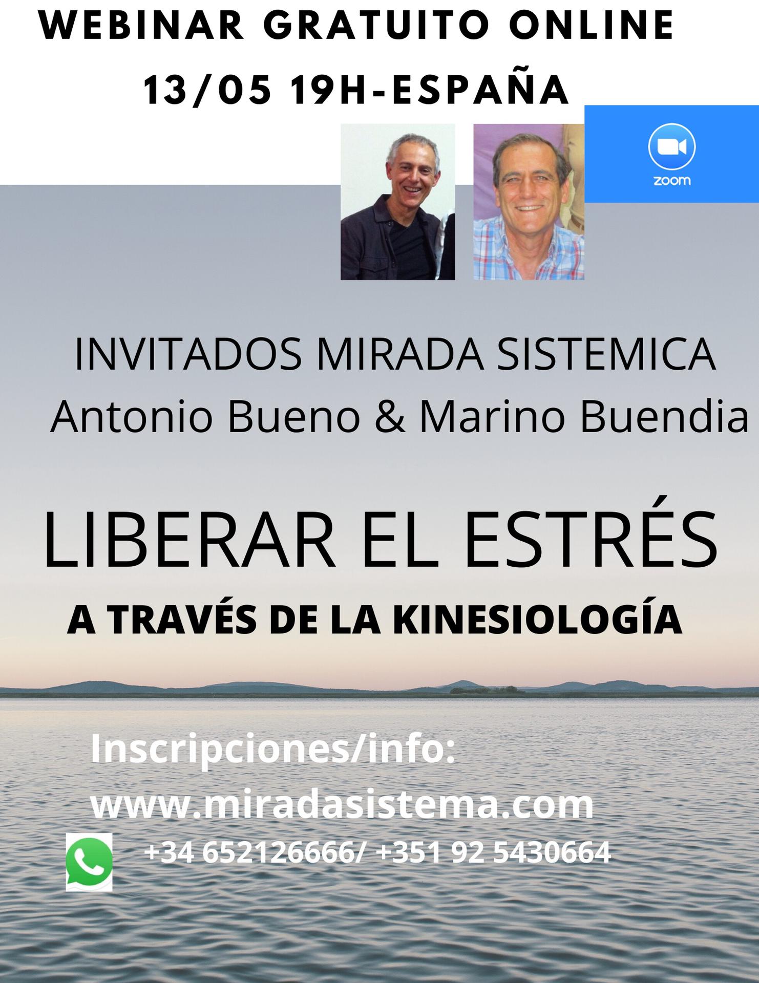 webinar kinesiología 13-5- Mirada Sistémica