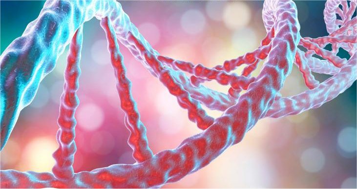 ADN Holográfico y Campos de Resonancia Mórfica - Mirada Sistémica