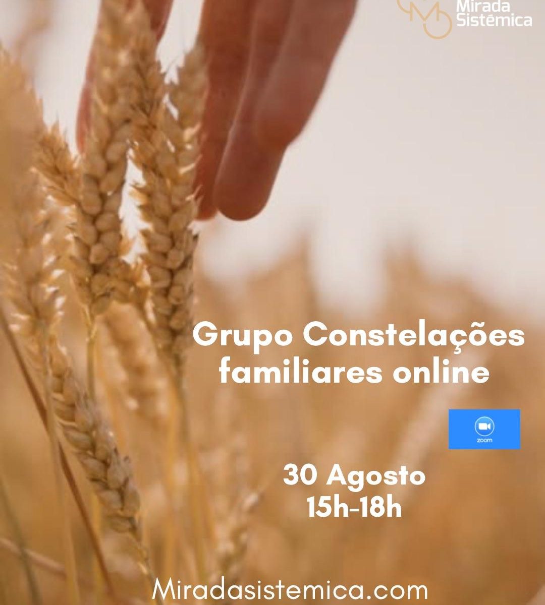 Grupo de Constelações familiares agosto Online - Mirada Sistémica
