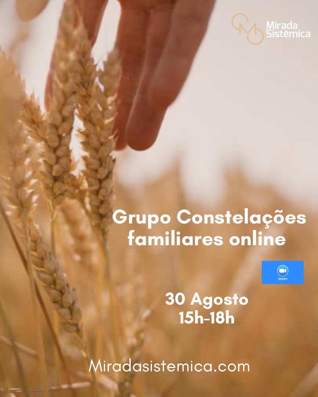 Grupo de Constelações familiares agosto Online - Mirada Sistémica