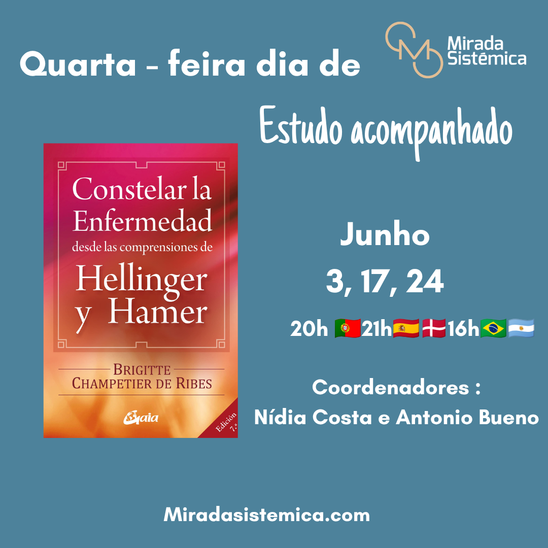 estudo acompanhado junho - Mirada Sistémica