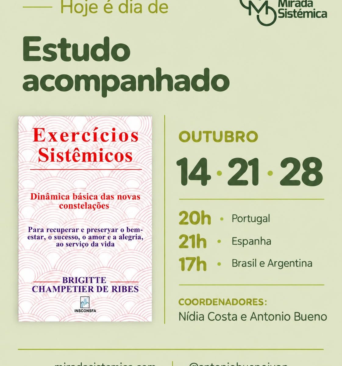 Estudo acompanhado outubro - Mirada Sistémica