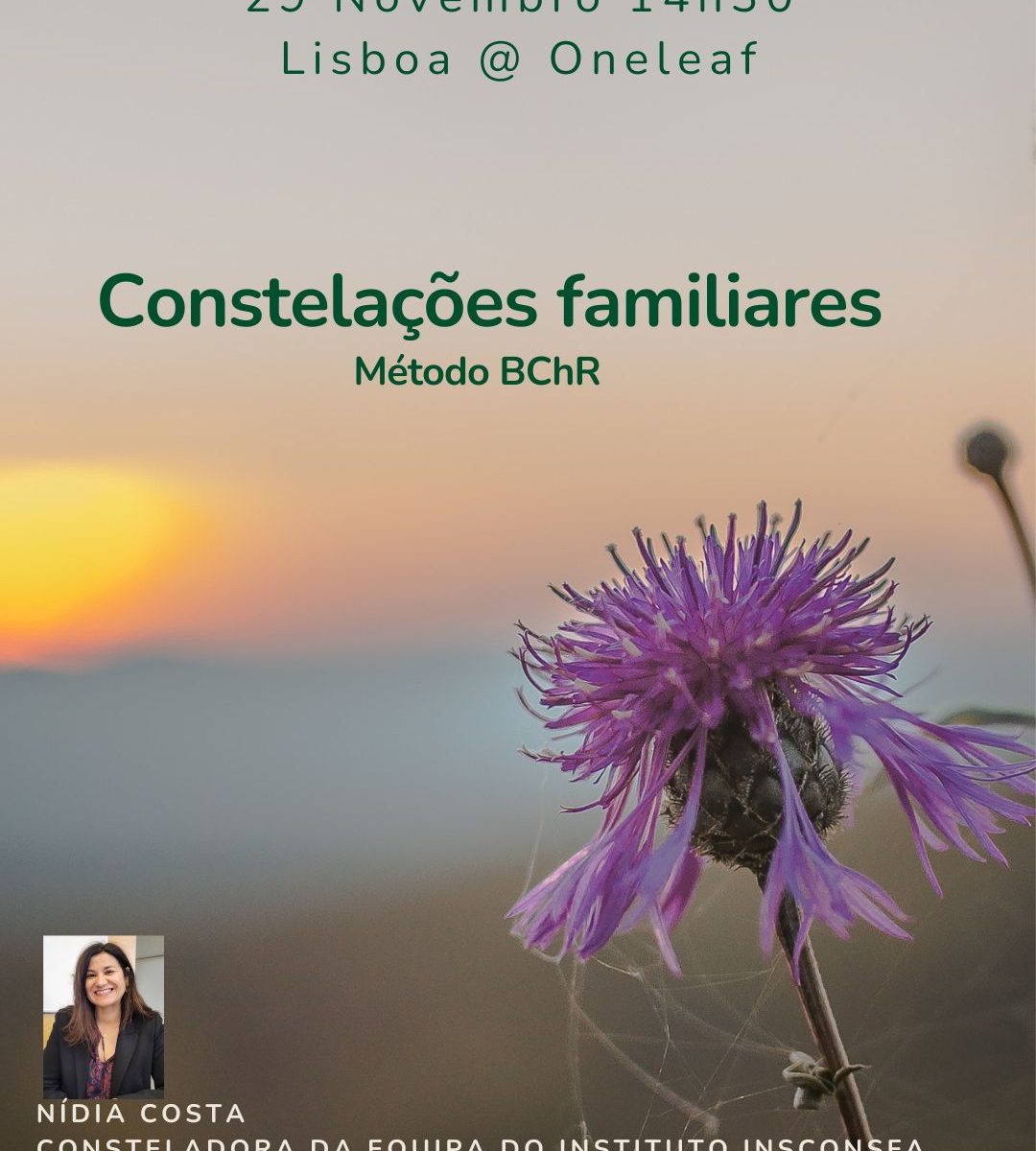 Grupo de Constelações Familiares Novembro - Mirada Sistémica