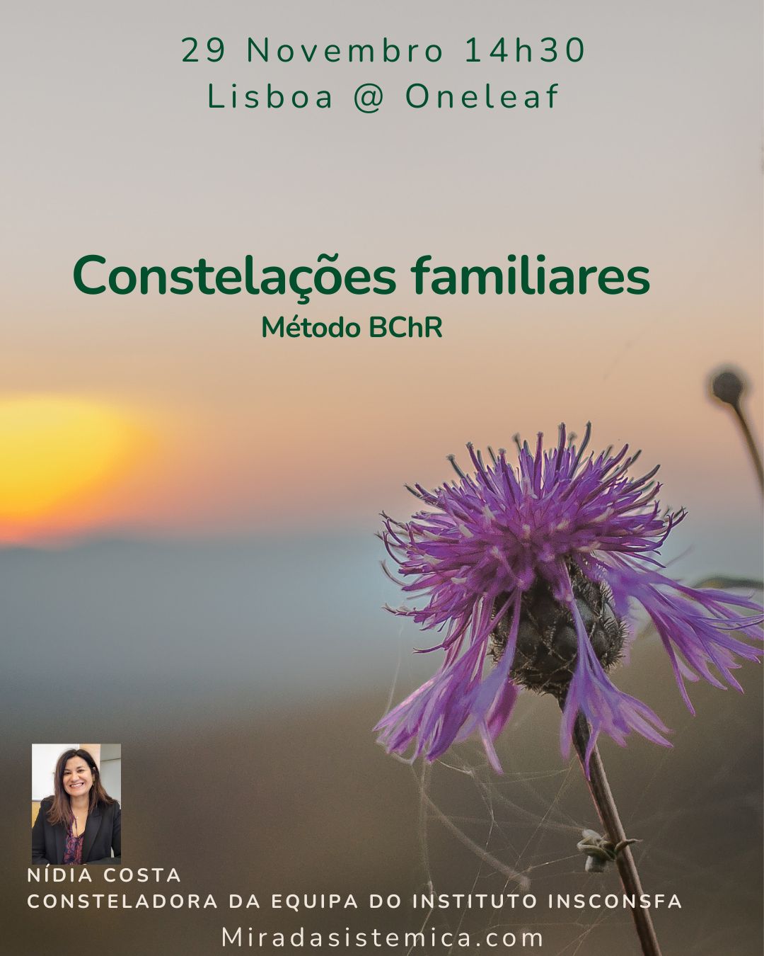Grupo de Constelações Familiares Novembro - Mirada Sistémica