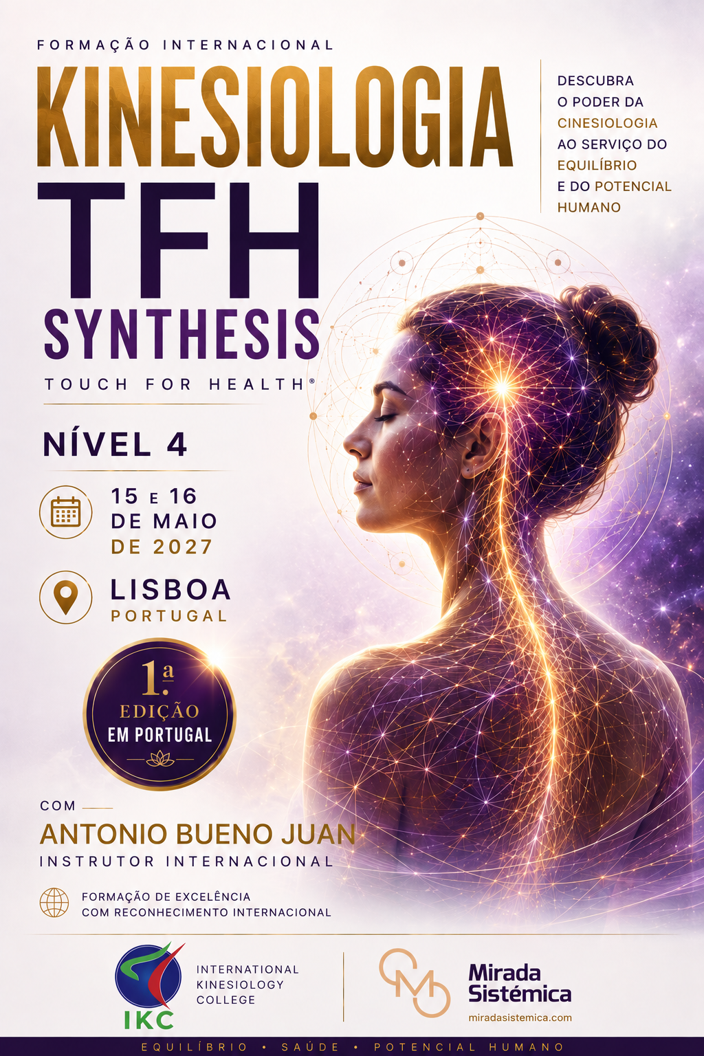 TFH Synthesis TFH IV - Mirada Sistémica