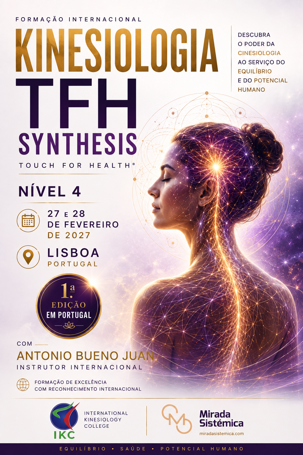 TFH Synthesis TFH IV - Mirada Sistémica