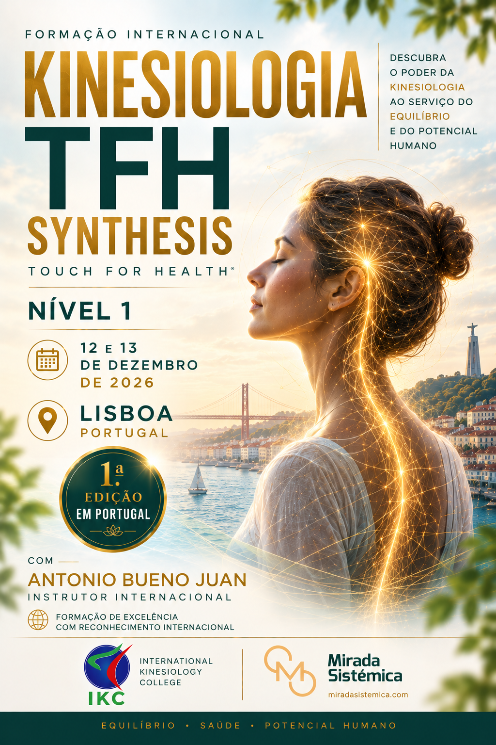TFH Synthesis TFH I - Mirada Sistémica